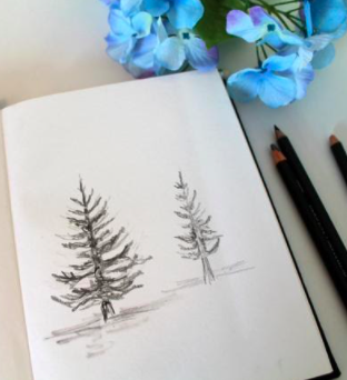 Evergreen trees are easy to draw, and even simple sketches like these look stunning.