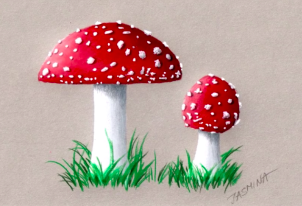 Another Susak masterpiece, this mushroom pencil drawing is vivid and three-dimensional.