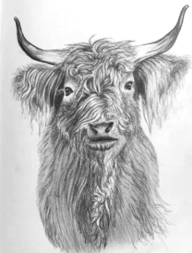 Mercedes M., étudiante de Skillshare, ajoute une texture experte à ce joli dessin de vache.