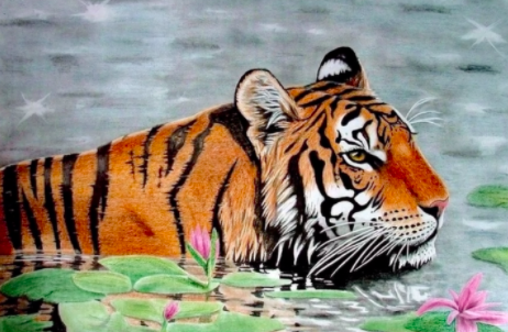 Le professeur de dessin Jasmina Susak donne des couleurs vives à ce dessin de tigre de chasse.