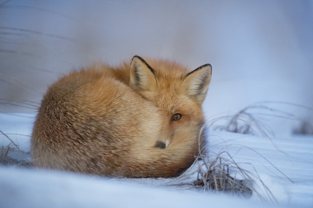 As the days get colder, it can be hard to stay motivated ( source image )