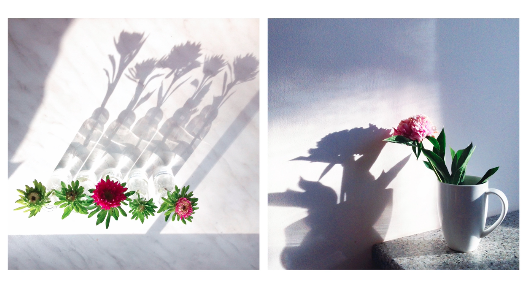   Mariya Popandopulo  shows examples of how she uses shadows in her photos.
