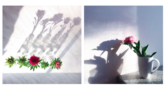 Mariya Popandopulo shows examples of how she uses shadows in her photos.