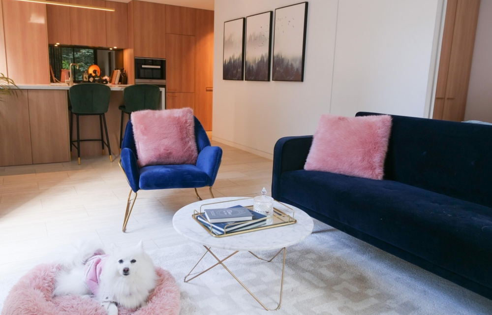 Skillshare student Sharon Jiang shares an image of her mid-century modern apartment.