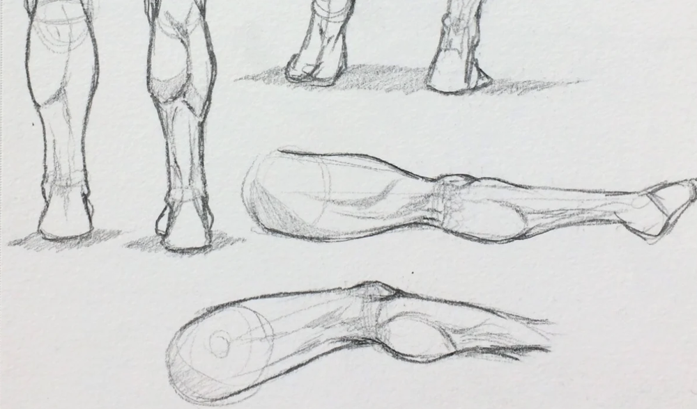 Skillshare student Cadence Vaz explores various ways of drawing the human leg.&nbsp;