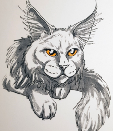 This maine coon has furry eyes and bright, yellow eyes that make them come to life!