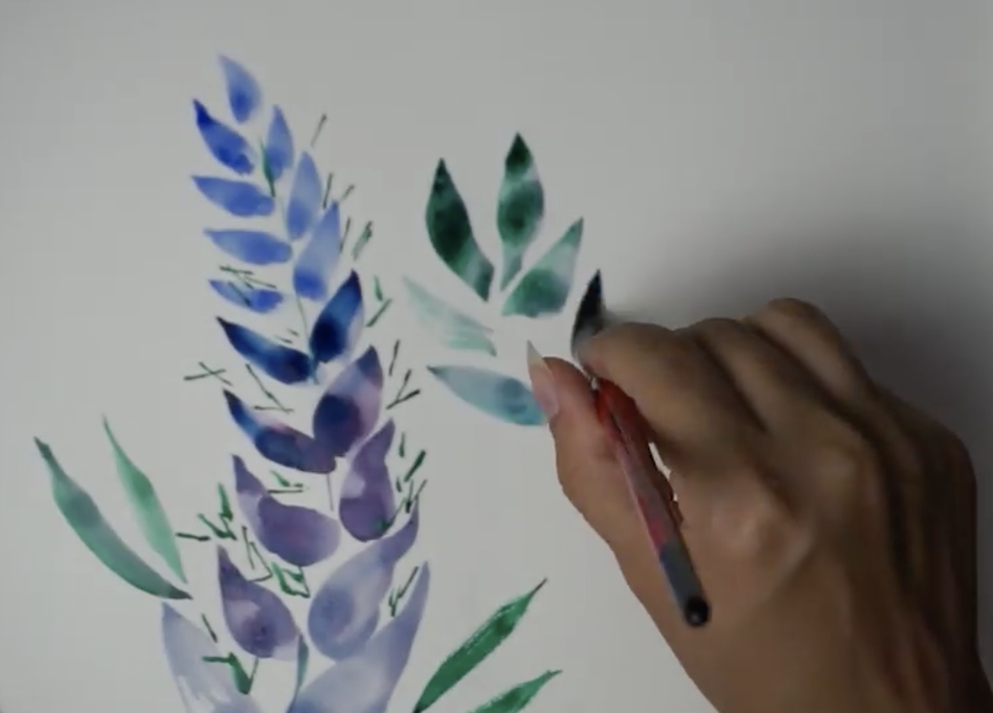 watercolor flowers