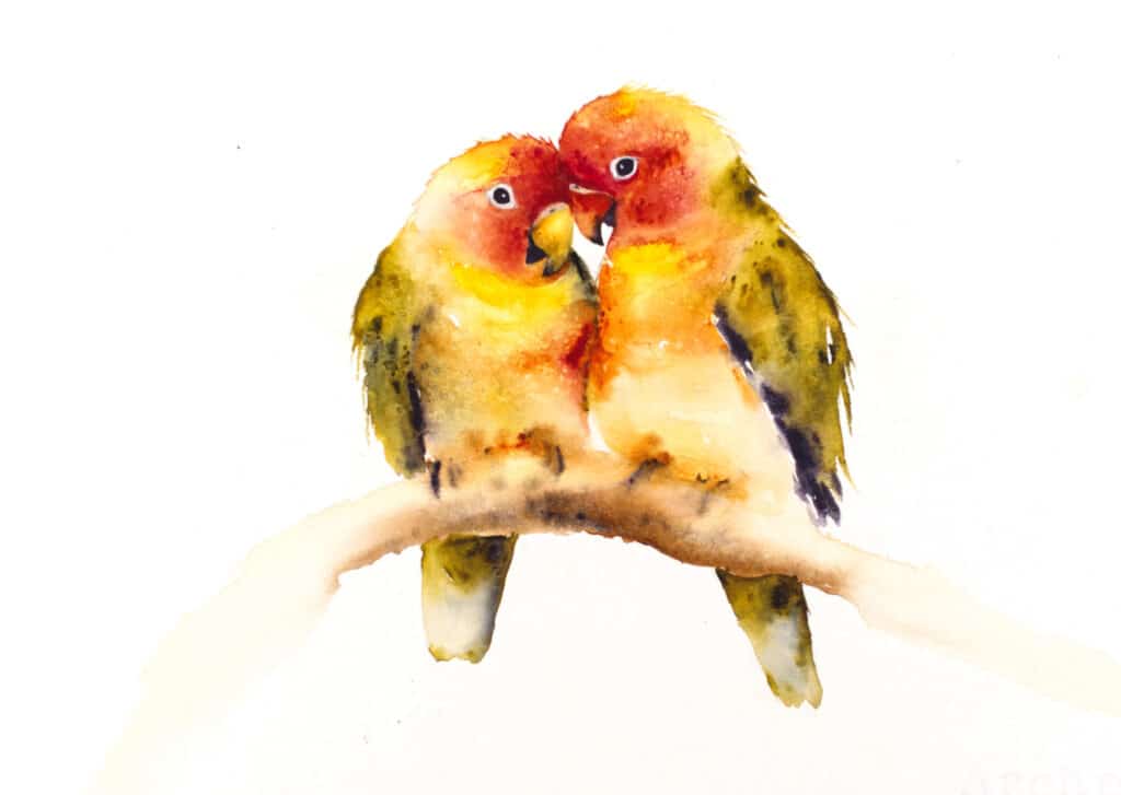 Watercolor painting of love birds by artist, Jane Davies.