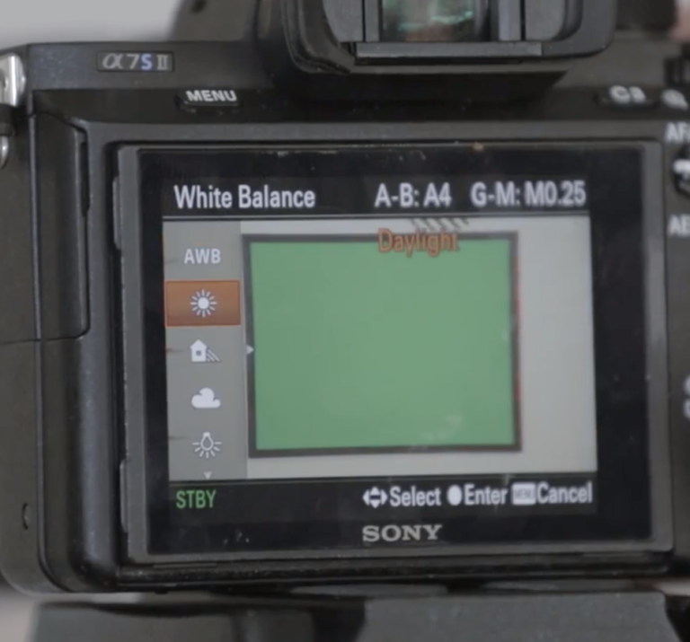 How to Use a Green Screen Like an Expert Skillshare Blog