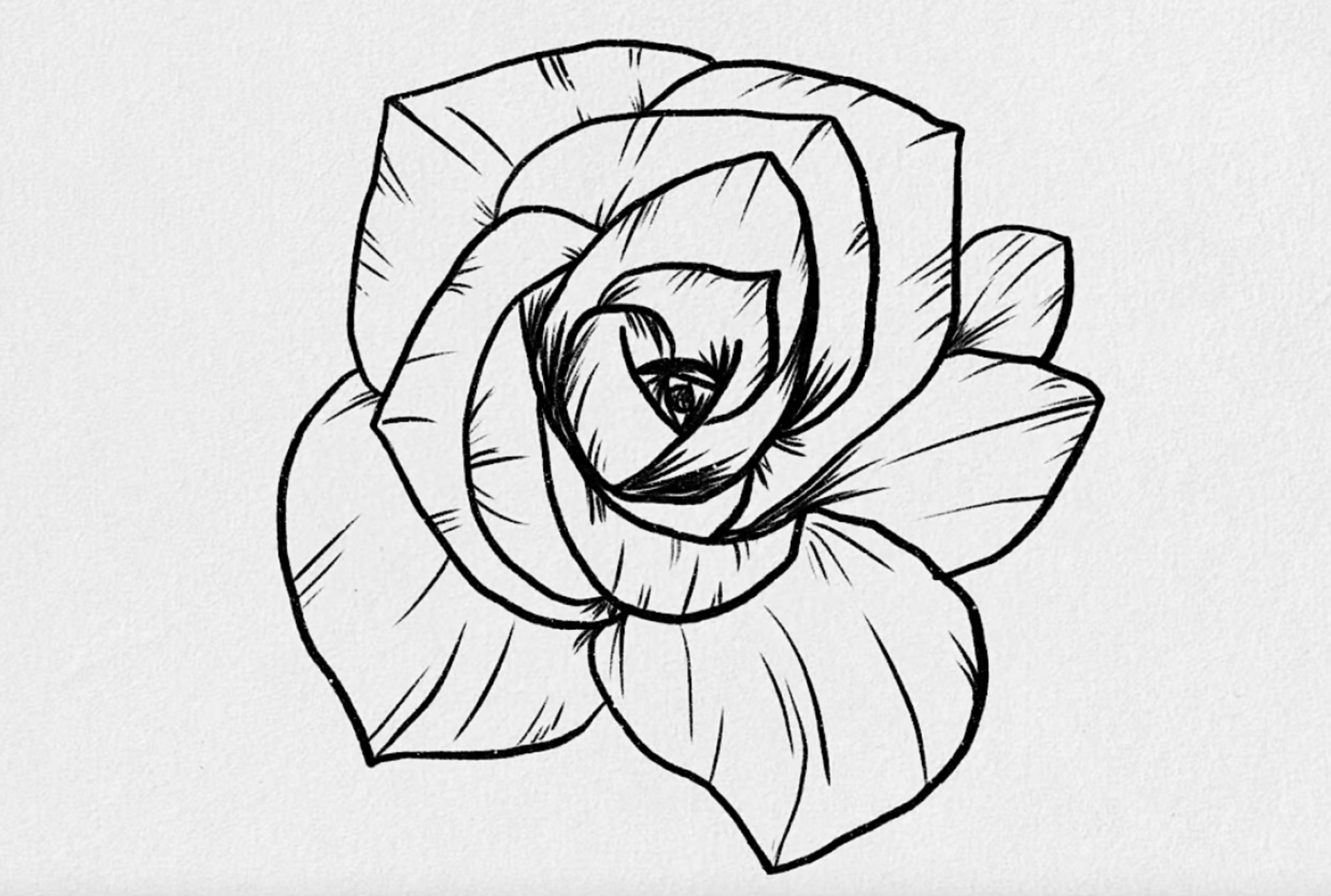 Dibuja una rosa y conserva una flor que se marchitará | Skillshare Blog