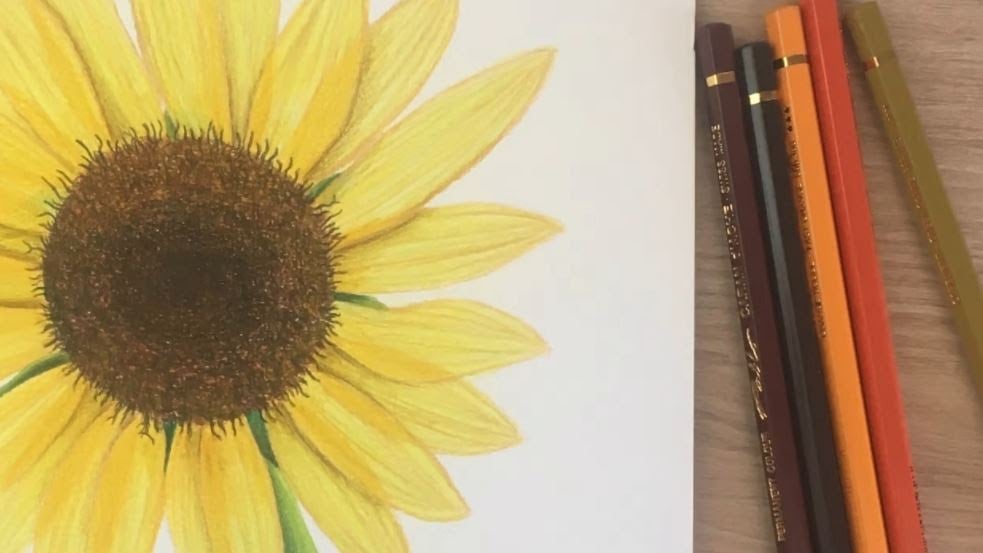 5 Watercolor Pencil Techniques for Beginners (That Pros Use Too)