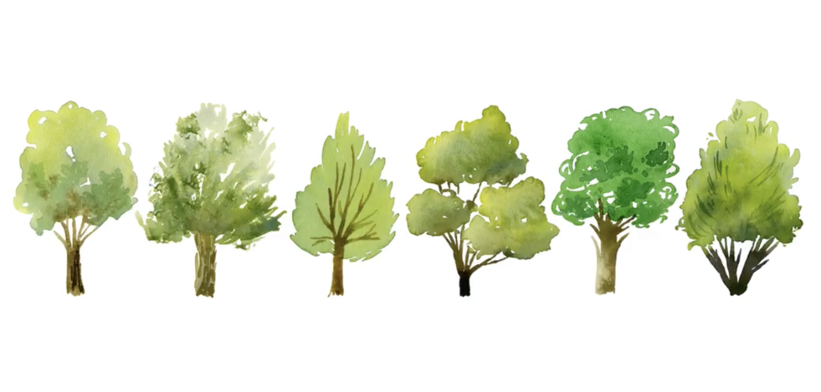 Watercolor Trees: Add Color, Shape, and Depth | Skillshare Blog