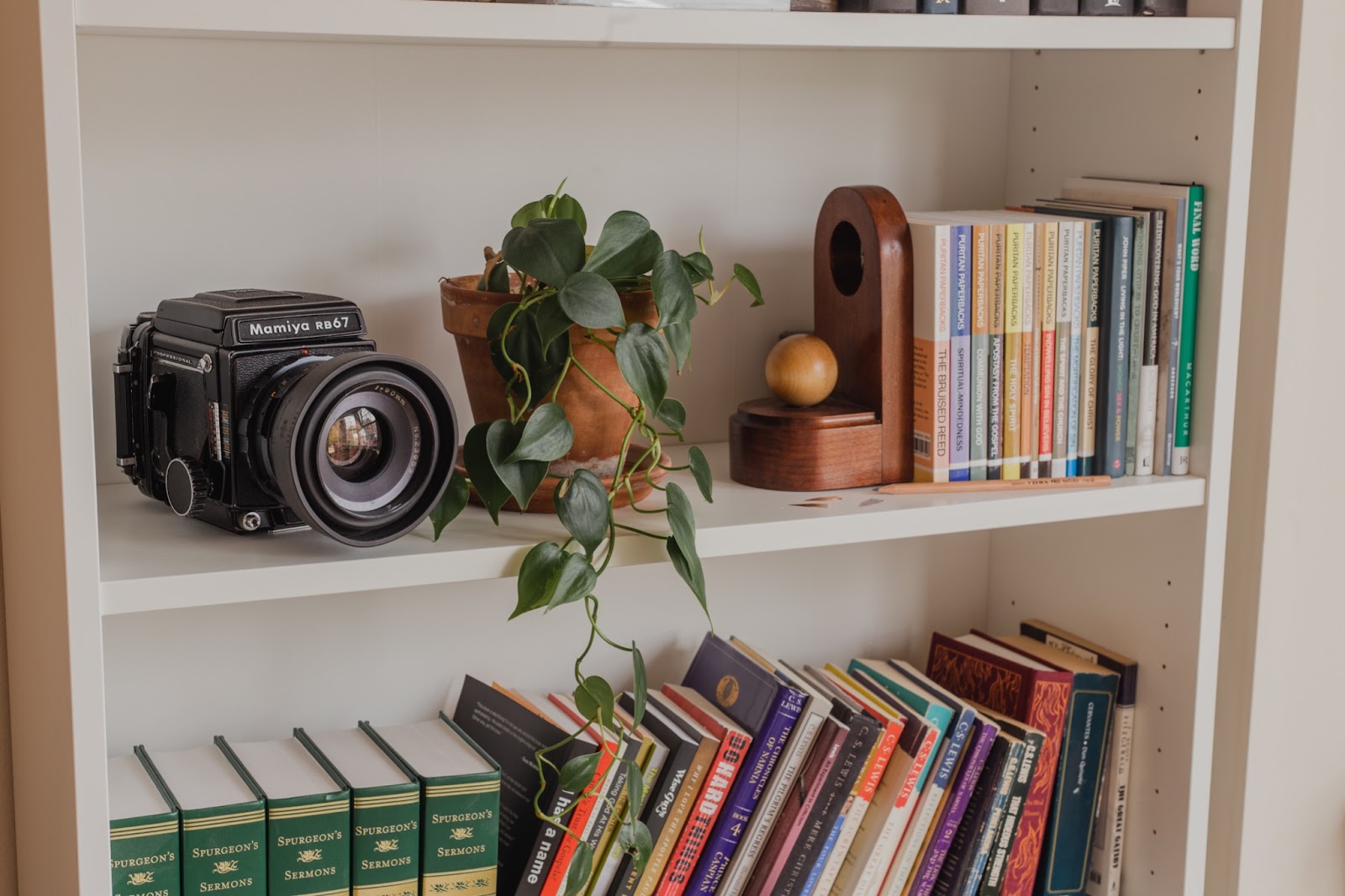How to Use a Bookshelf as a Room Divider Skillshare Blog