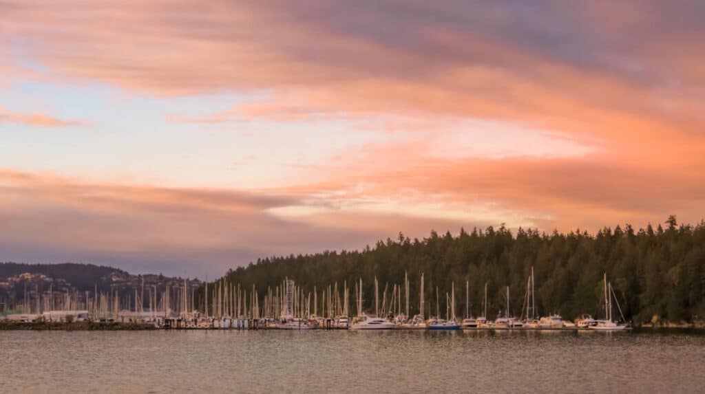 A large group of boats in a harbor. A thick green forest can be seen in the background, and the pale blue sky is almost fully covered by pink low-lying clouds.