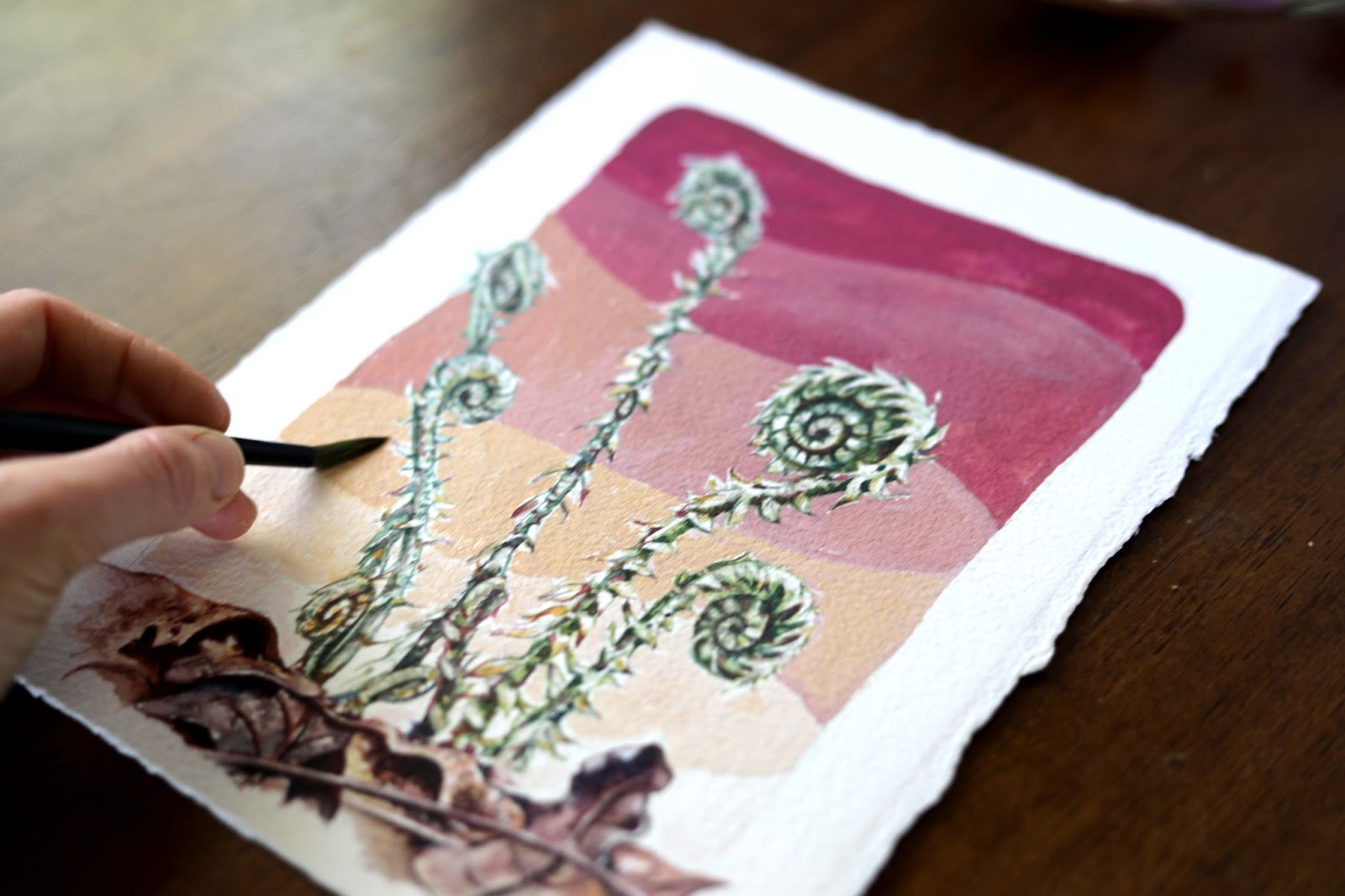 Rosalie Haizlett complements rich reddish colors with gorgeous tans in this fiddlehead fern painting, blending watercolor and gouache.