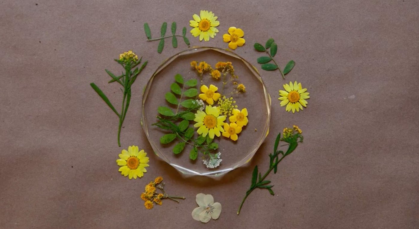 yellow flowers preserved in resin coaster