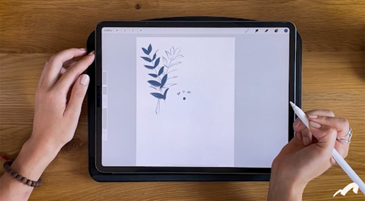Hand drawn ZZ plant on an iPad using a stylus.