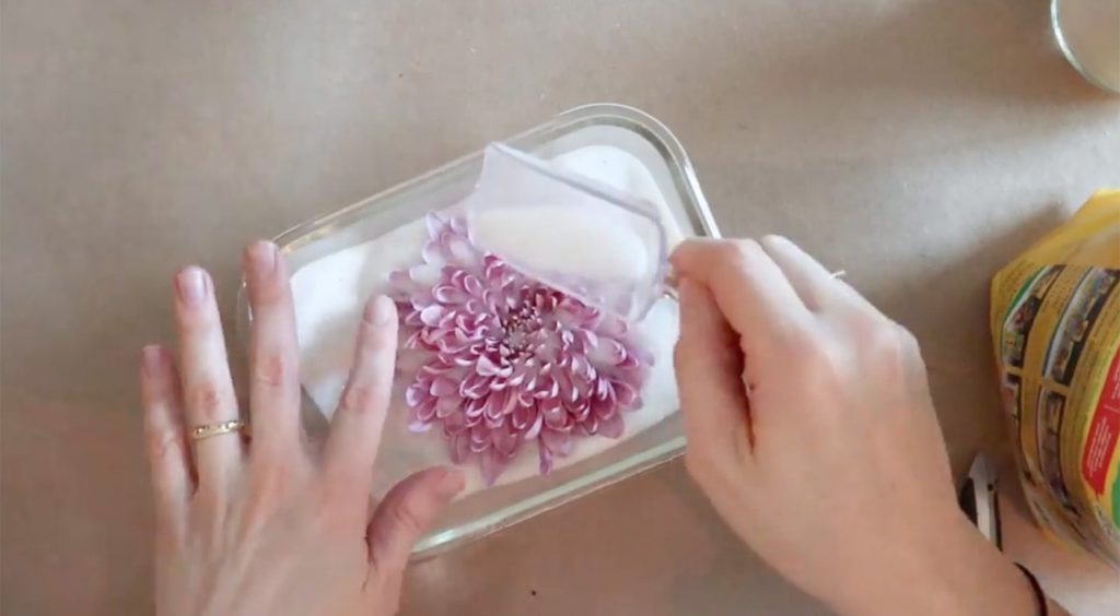 The Art of Preserving Dried Flowers in Resin Skillshare Blog