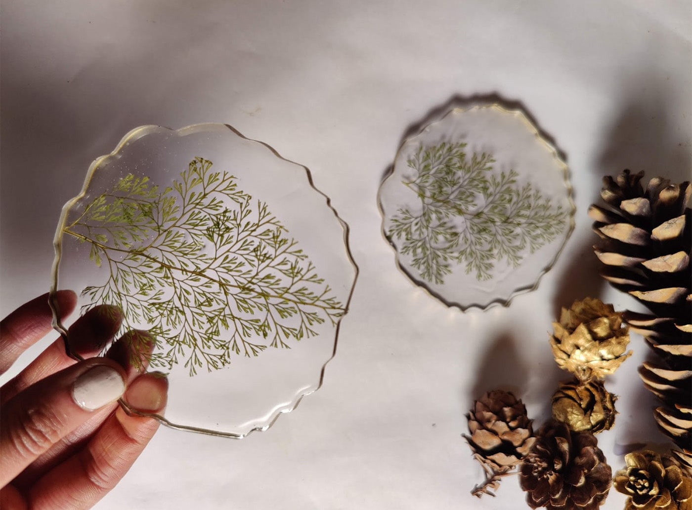 Fern leaf trapped in resin as a coaster. Pinecones on the table for decoration.