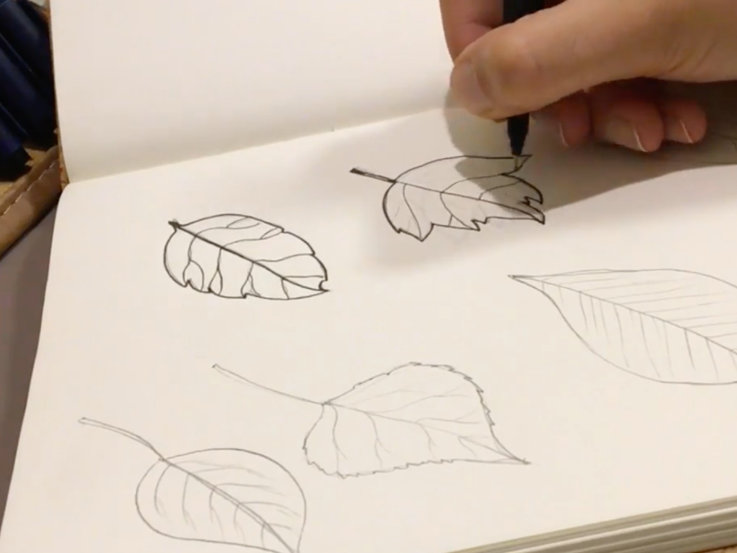 Five different leaf outlines on a sheet of white paper. The first leaf has been traced using a pen, the second leaf is being traced, and the remaining three have yet to be traced. 
