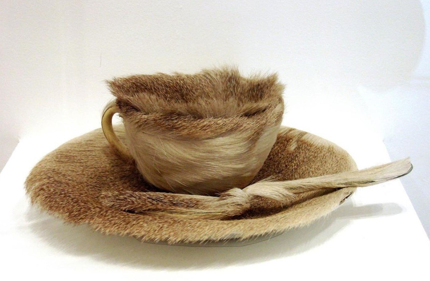 Teacup with saucer and spoon but the entire thing is completely furry.
