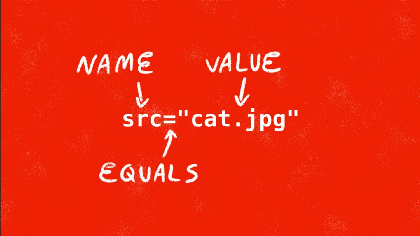An HTML attribute with each of its components clearly labeled. ‘Src’ is labeled as the attribute name, the ‘=’ symbol is labeled as the equals sign and ‘cat.jpg’ labeled as the value.