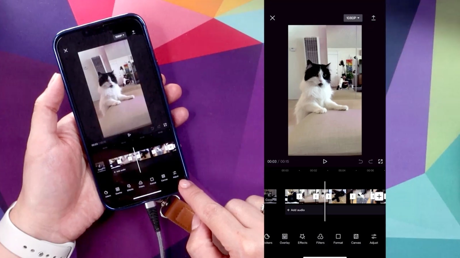 A black and white cat is the star of this CapCut tutorial. With a screenshot on the right side and a hand holding a phone with the CapCut screen on it, this video editing software shows features like filters and overlays.