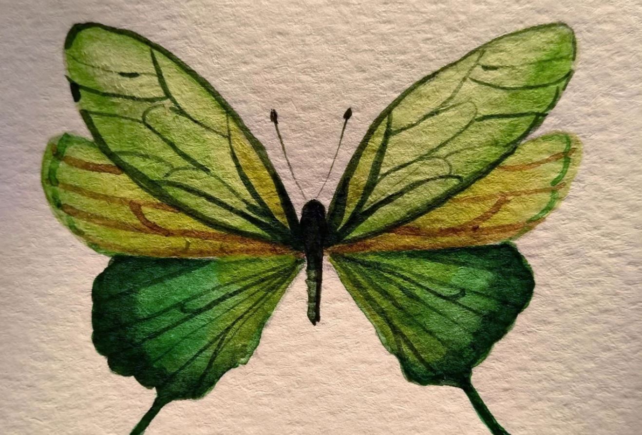 watercolor butterfly