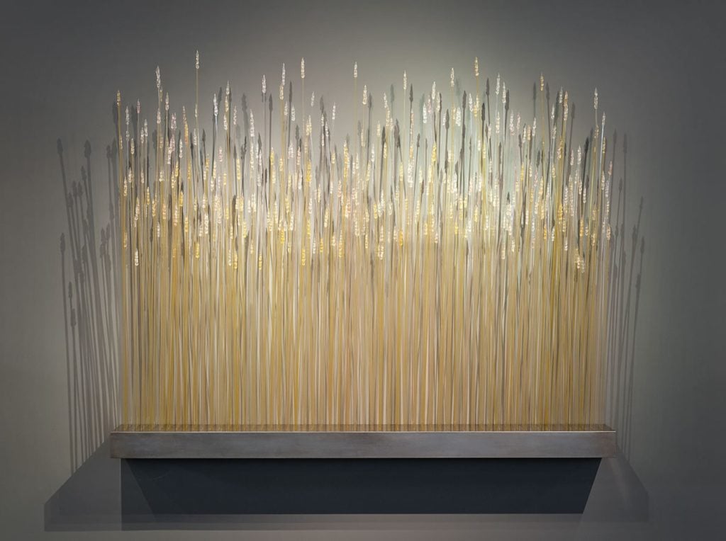 Hundreds of translucent golden stalks of wheat crafted entirely from glass, all resting on top of a brushed metal base in front of a gray background.
