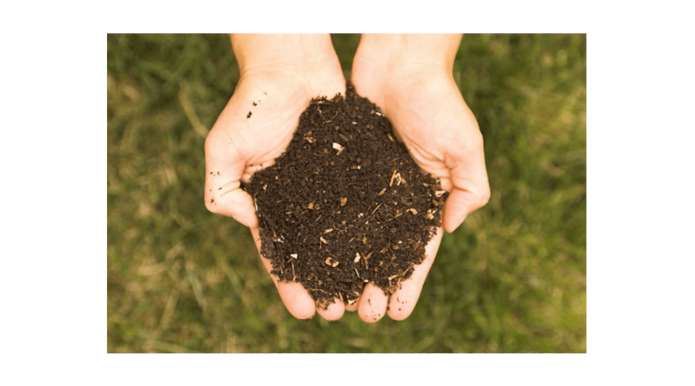 Good soil is essential for maintaining healthy vegetation.