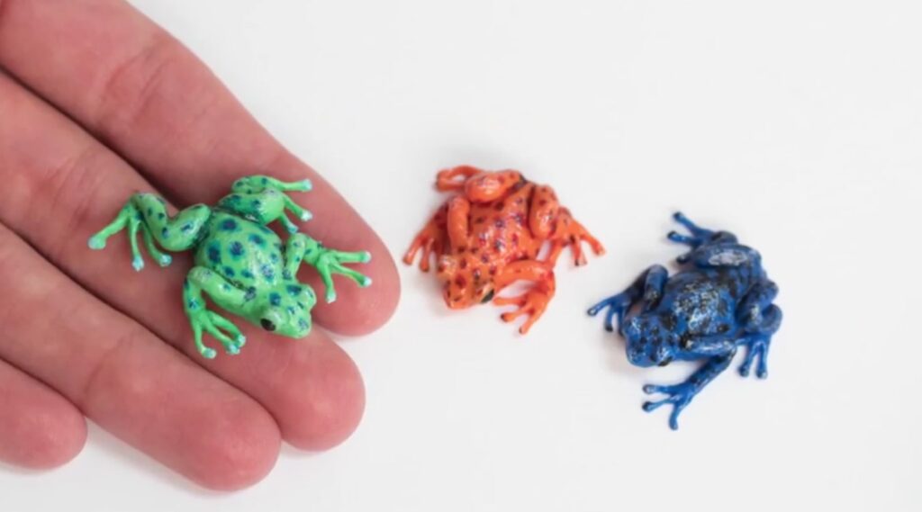 A woman’s hand holding a miniature green frog sculpted from polymer clay. Two more frog sculptures, one orange and one blue, sit on a white tabletop beside her hand.