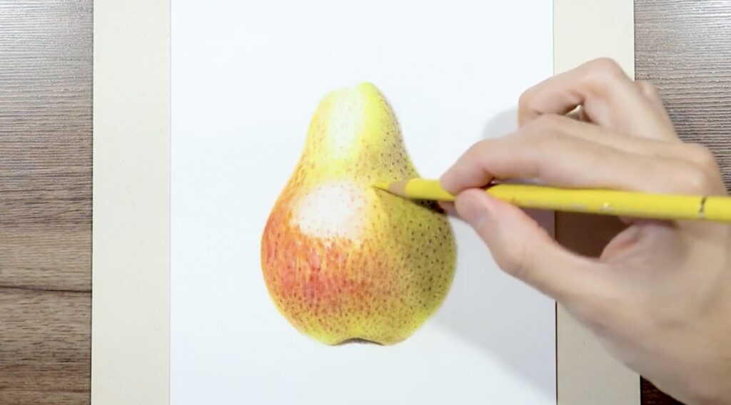 A colored pencil illustration of a red and yellow pear, mid-process. Macedo’s hand is visible in the shot, holding a yellow colored pencil.