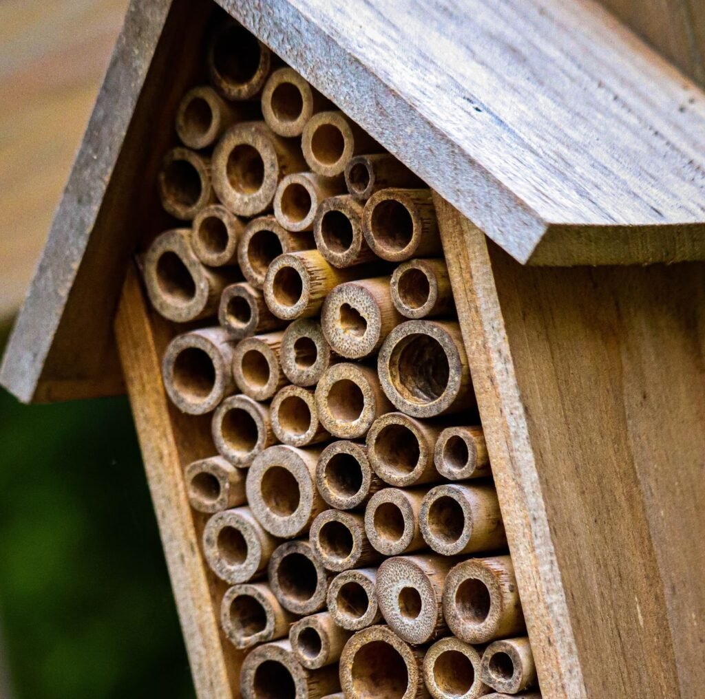 These DIY Bee Houses Really are the Bee’s Knees Skillshare Blog