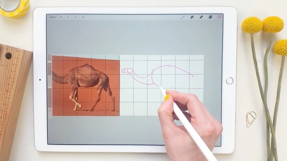 A camel drawing in progress on an iPad, using a grid overlay to guide the drawing.