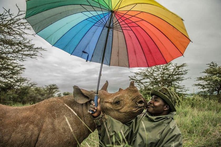 man with rhino