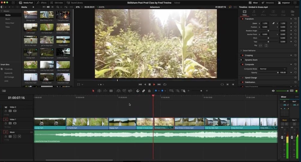 A video clip of grass in a sunny forest is edited using DaVinci Resolve.