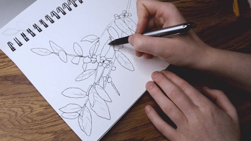A person's hand using a pen to draw an illustration of berries and leaves on branches.