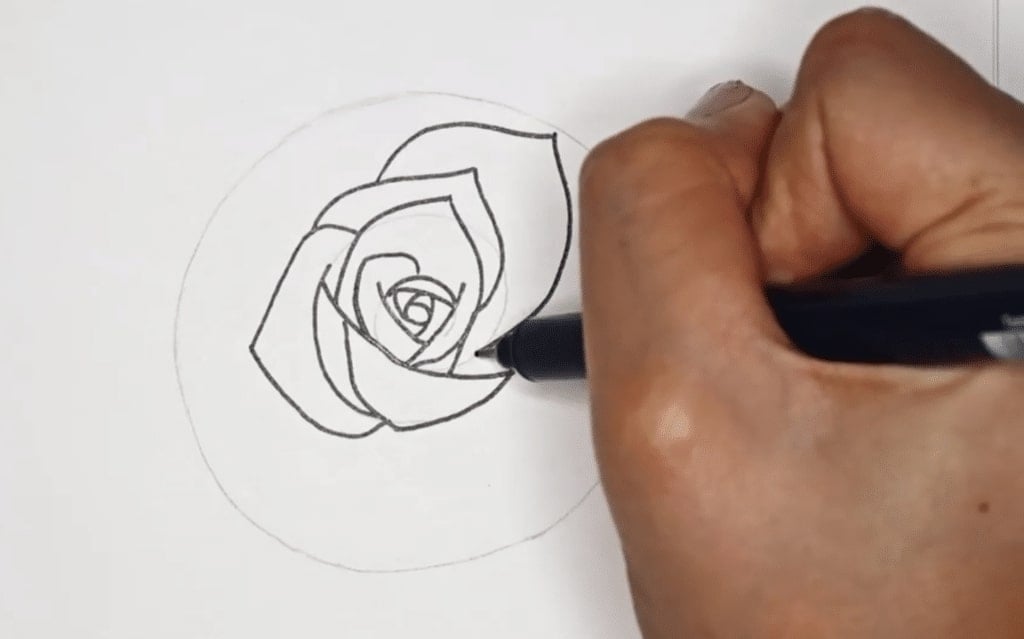 Hand drawn roses. Sketch rose flowers with buds, leaves and stems