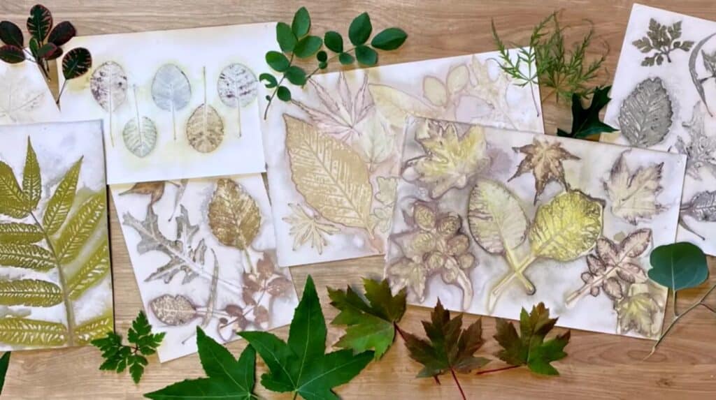 Five monoprints lay on a wooden surface surrounded by vibrant leaves. Each print depicts the outlines and patterns of various leaves.