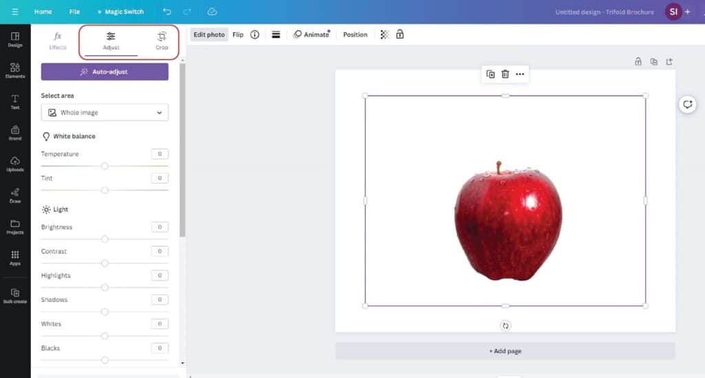To the left of the Canva workspace is an editing menu with adjustment options in white balance and lighting.