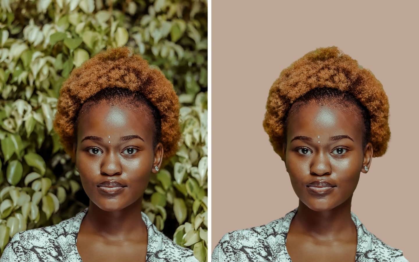 How to Remove Background In Canva: A Complete Guide | Skillshare Blog