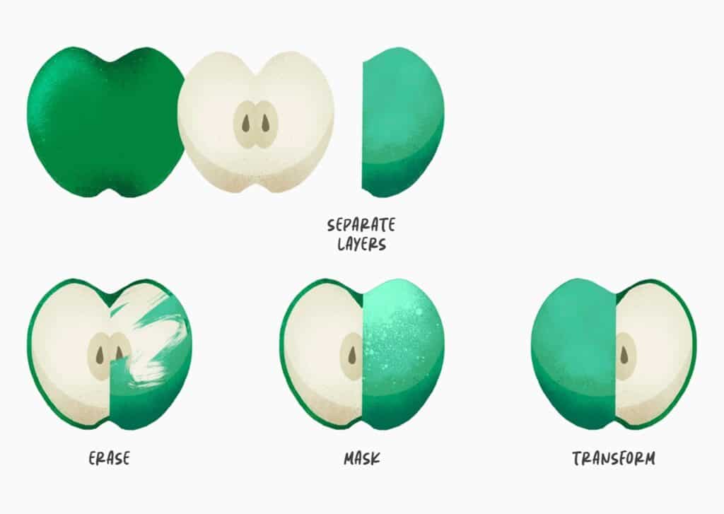 An apple is constructed of three layers: the bottom layer is the dark green skin, the middle layer is the white flesh and seeds, and the top layer is more green skin. 
