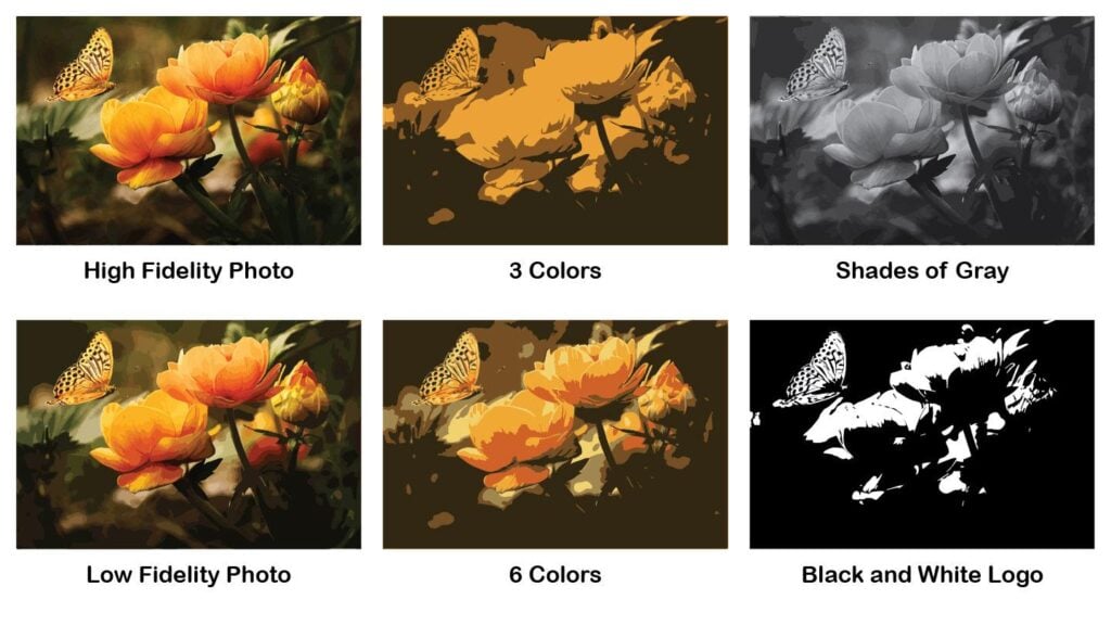 6 different versions of the flower photo are laid out in a 2x3 grid, each showing how the image is traced using High Fidelity, Low Fidelity, 3 Colors, 6 Colors, Shades of Gray and Black and White Logo presets.