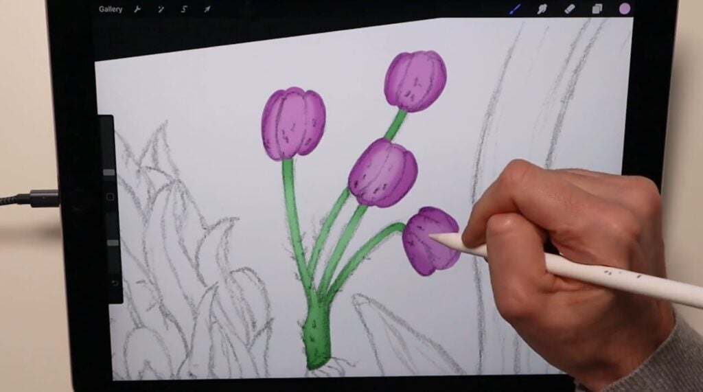 A person’s hand holding an Apple Pencil over an iPad, and using the pencil to add shading to an illustration of purple flowers within the Procreate app.