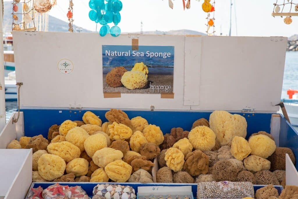 A collection of natural sea sponges sold beside the sea.