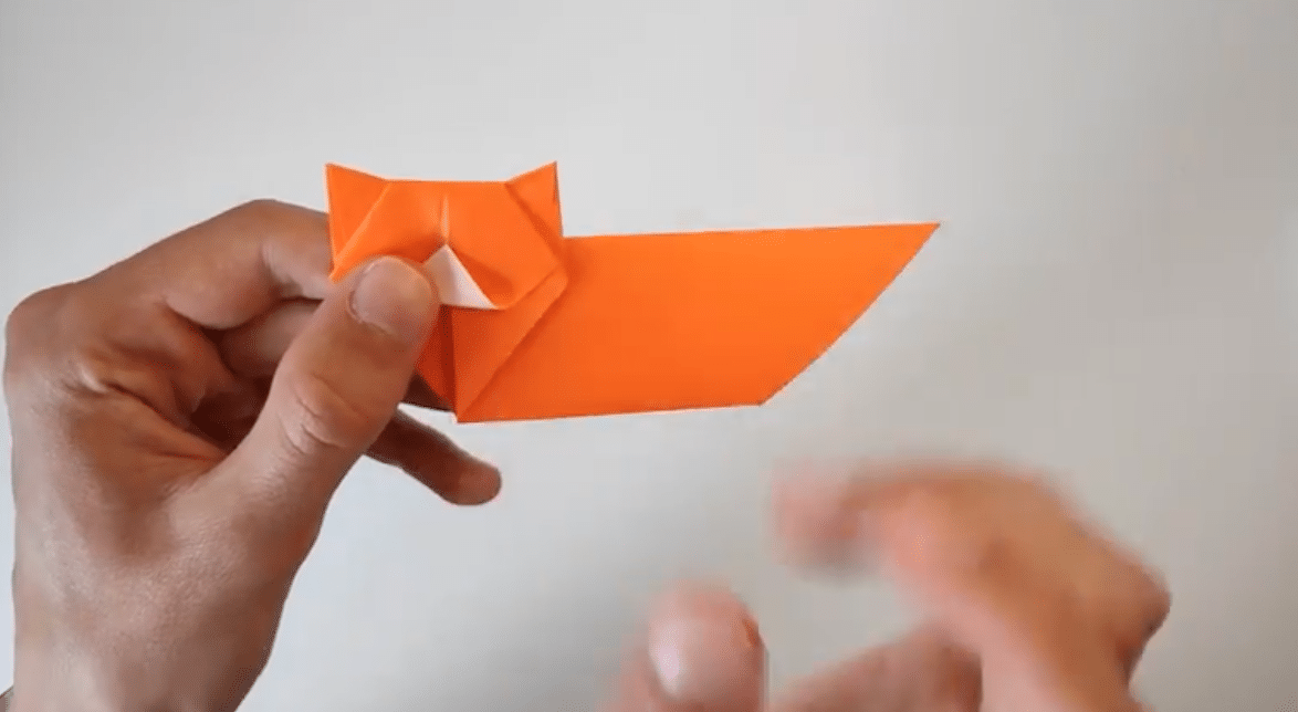 fold paper