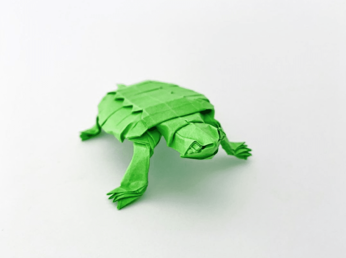 origami turtle