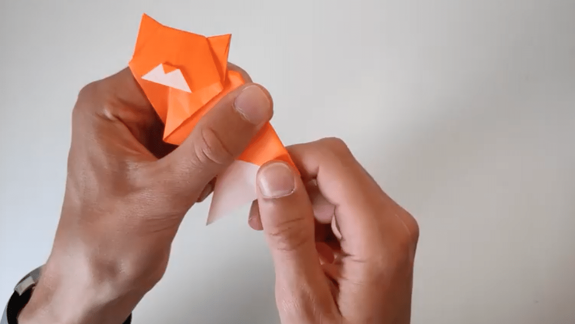 fold paper