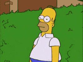 simpson Reaction GIF by reactionseditor