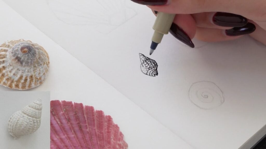 An artist uses an ink pen to stipple a tiny shell in their notebook. Real shells sit on the left side of the notebook and pencil outlines of other shells surround the inked shell on the right side of the notebook.